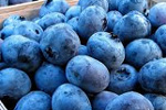 Berries may help prevent oral cancer