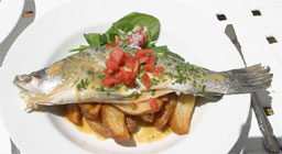 Oily fish is best brain nutrition