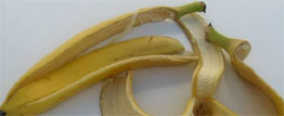 Cuban lab makes medicine from banana peel