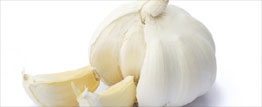 Garlic compound kills food-borne bacteria better than antibiotics