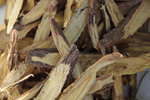 Dried licorice root prevents tooth decay and gum disease