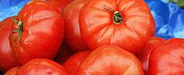 Eating tomatoes cuts heart disease risk by 26%