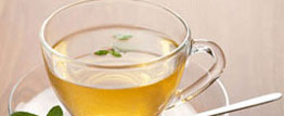 Green tea holds promise against Alzheimer`s