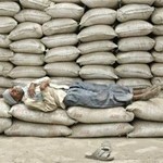 COMPAT directs cement firms to pay 10% of Rs 6,307-crore penalty