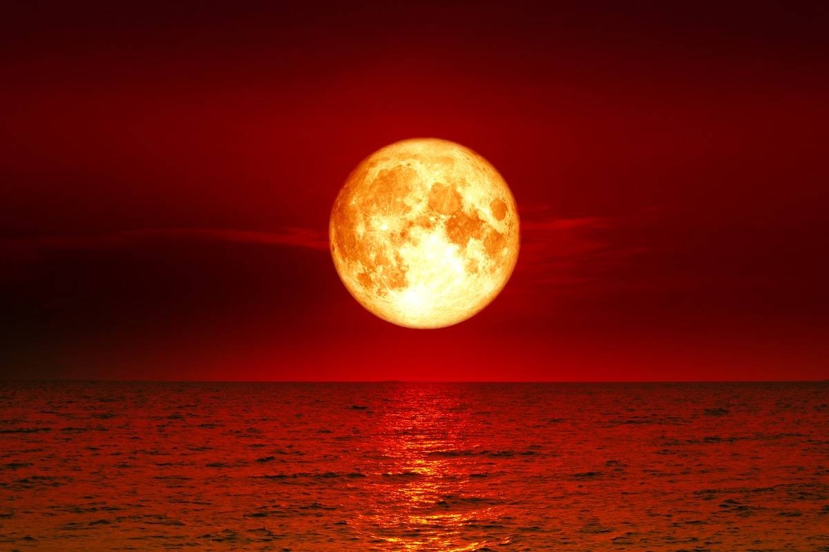 Lunar Eclipse 2021: Blood Moon to be Visible in India; Check Timings ...