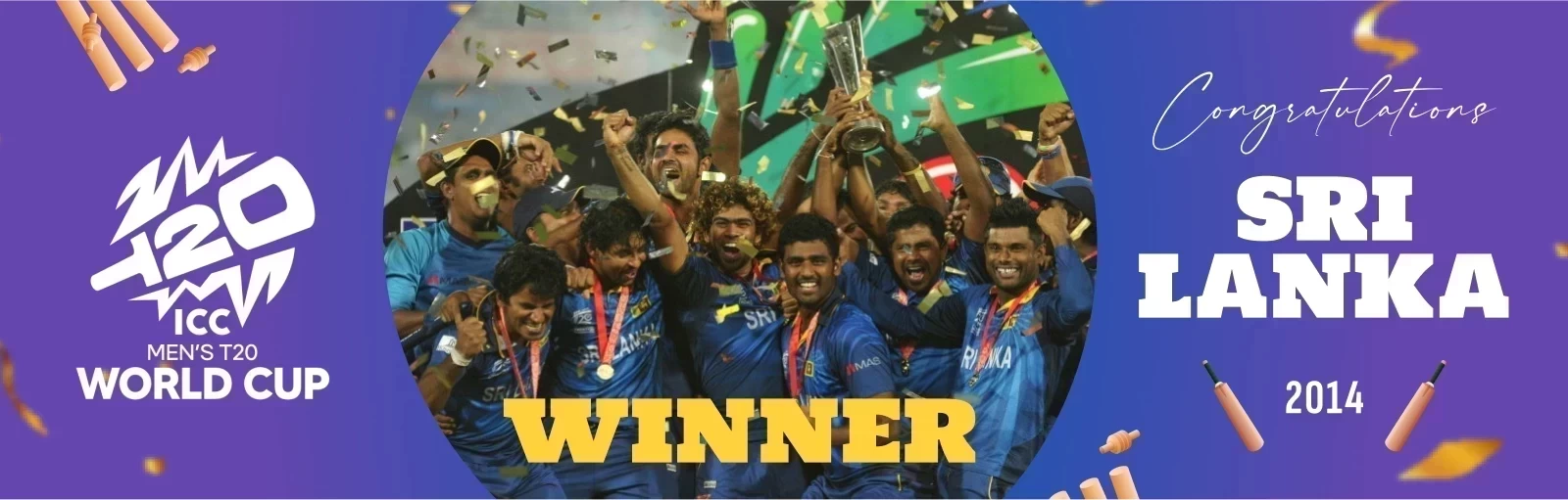 T20 Winner 2014